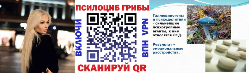 даркнет сайт  Сурск  Псилоцибиновые грибы MAGIC MUSHROOMS 
